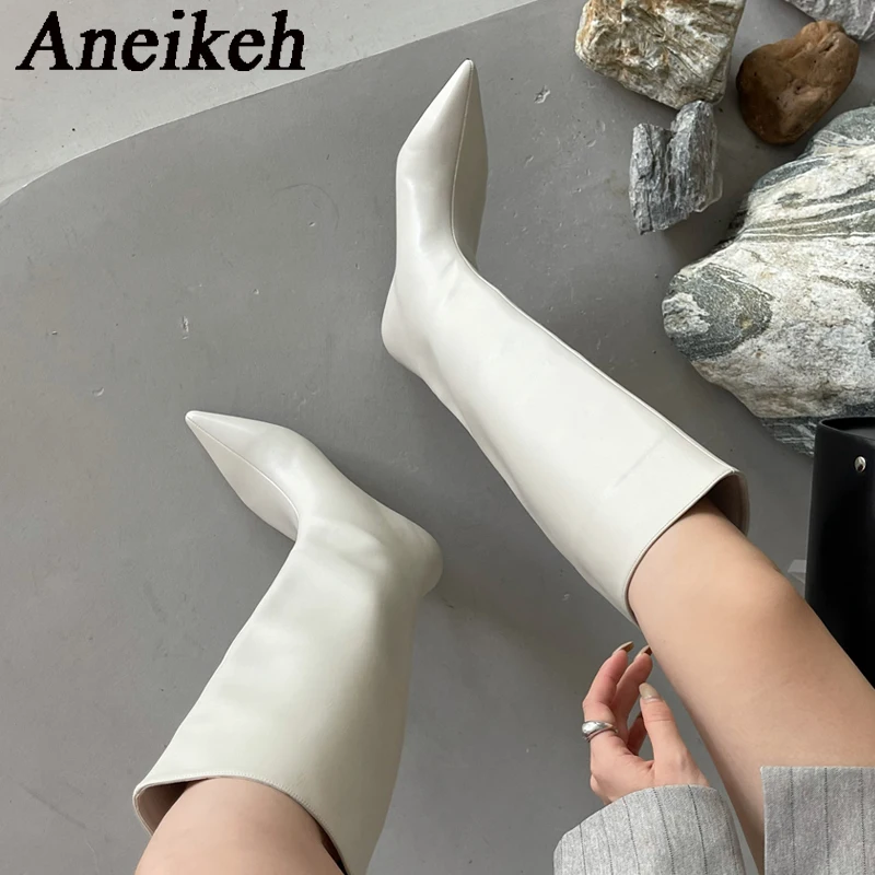 Women'S Fashion Knee High Boots - Aneikeh 2027 Moda Seksi Sivri Burunlu